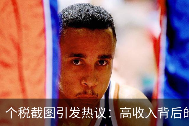 个税截图引发热议：高收入背后的现实差距